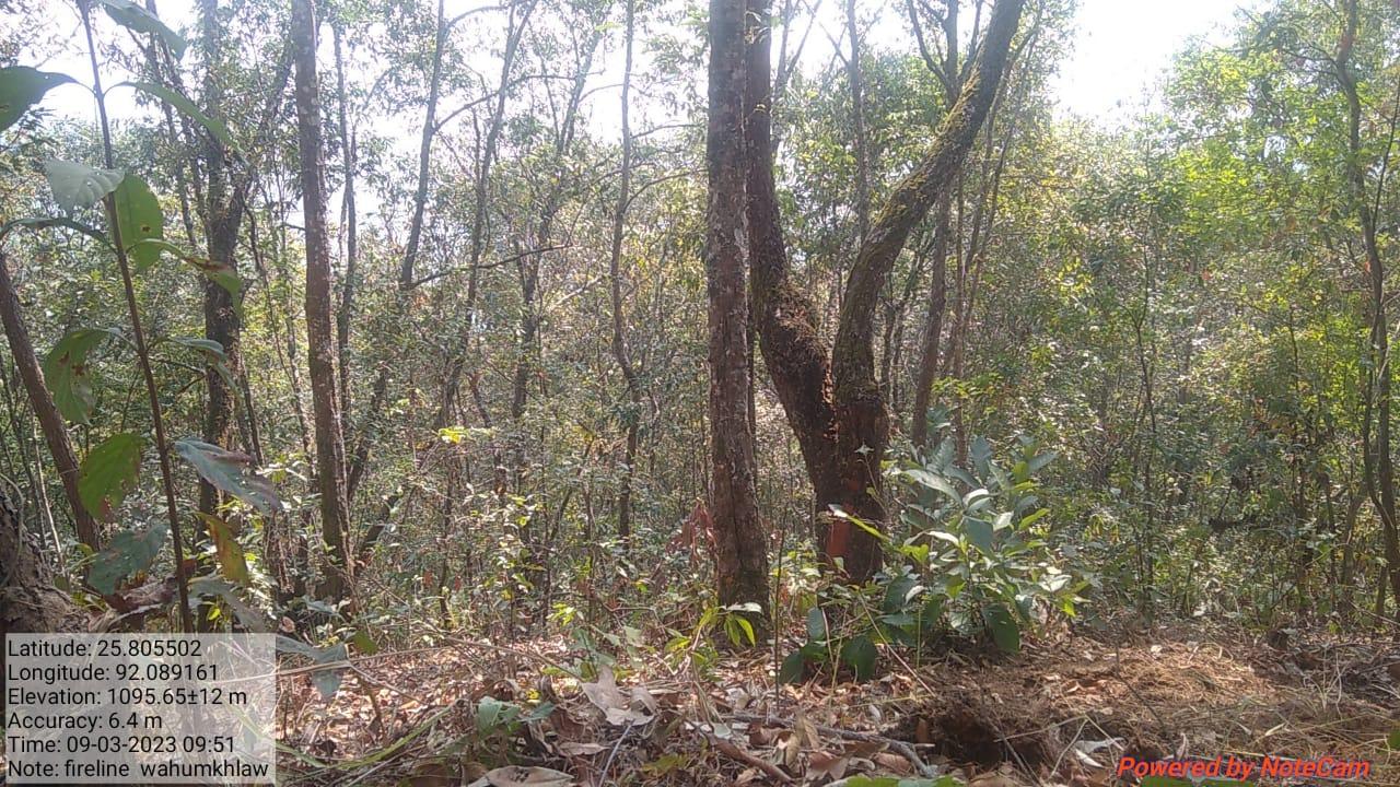 C:\Users\Lavinia Pde\Downloads\WhatsApp Image 2023-03-30 at 15.23.05.jpeg